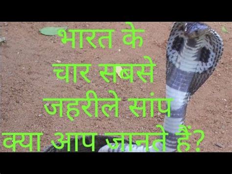 Most Poisonous Snakes In India Youtube