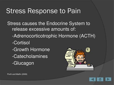 PPT - Pain in the Cardiac Surgical ICU Patient PowerPoint Presentation