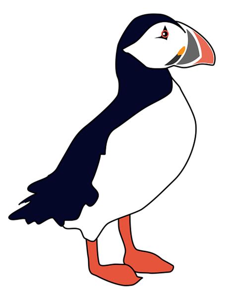 Puffin Bird Free Vector Graphic On Pixabay