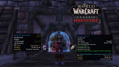 World Of Warcraft Classic Hardcore Shadowfang Keep Dungeon Run Fury Dual Wield Tank