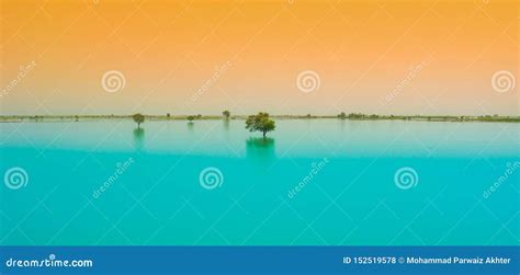 A Tree In A Blue Water Lake With Sunset Background Stock Photo Image