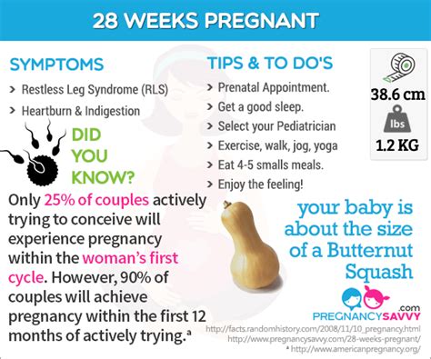 28 weeks pregnant prenatal appointment pregnant