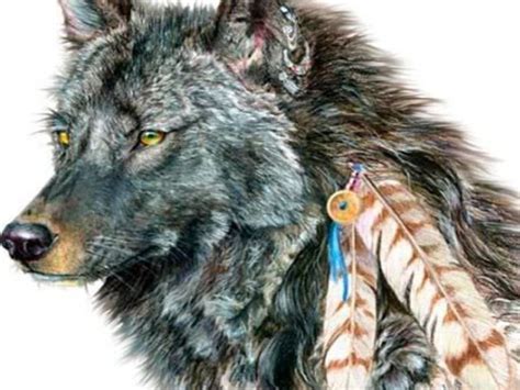 Indian Wolf | Free Indian wolf Wallpaper - Download The Free Indian wolf Wallpaper ... | Indian ...