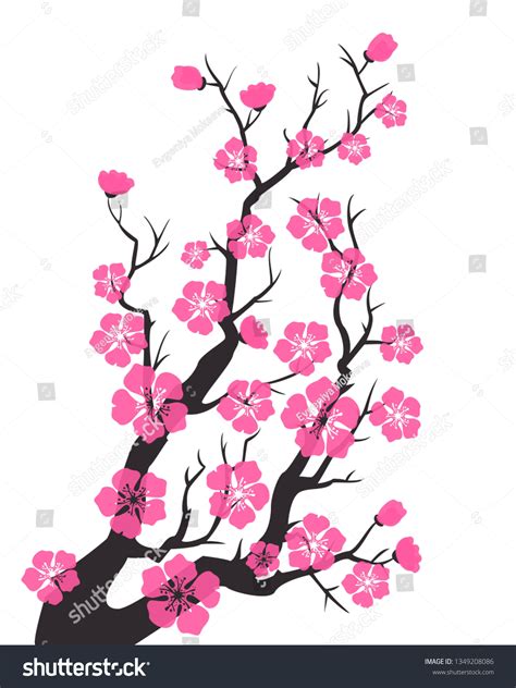Cherry Blossom Sakura Flowers Vector Illustration Stock Vector Royalty