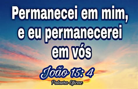 Joao 15 15 Explicacao