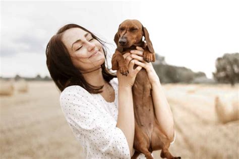 Best dog food for dry itchy skin we have evaluated top rated dog food for dry itchy skin which include brands: How To Cure My Dog's Dry, Itchy Skin?