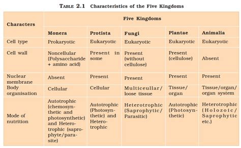 Ncert Class Xi Biology Chapter 2 Biological Classification