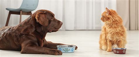 The farmer's dog food includes the real, fresh ingredients your pup needs to live a long, healthy life. Buy Raw Dog Food Online | Frozen Raw dog Food Supplied to ...