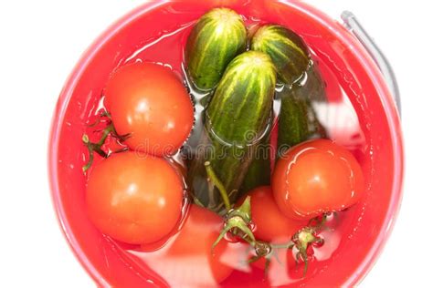 Fresh Tomatoes On A Branch Large Green Cucumbers One Red Bell Pepper