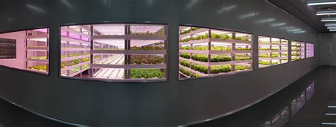 Indoor Vertical Farming In Asia And Beyond Digging Deep In Data Asia