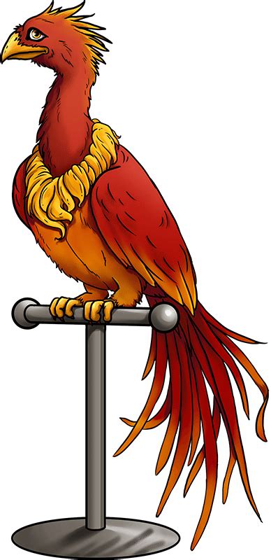 Phoenix clipart harry potter phoenix, Phoenix harry potter phoenix ...