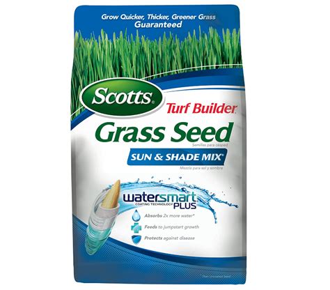 Best Grass Seed For Ohio How To Choose The Correct One Turfandtill