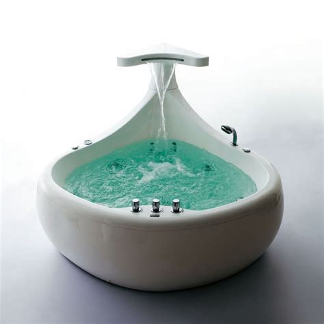 The bathroom is dangerous for people with mobility difficulty. Royal SSWW Whale Whirlpool Bathtub » Petagadget
