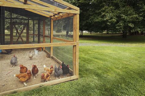 45 Unique Chicken Run Ideas For Garden Chicken Diy