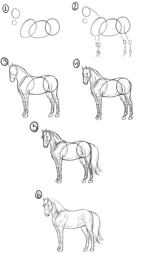 Https://tommynaija.com/draw/how To Draw A Black And White Horse