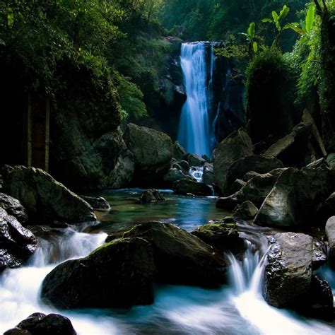🔥 42 Tropical Waterfalls Wallpaper Wallpapersafari