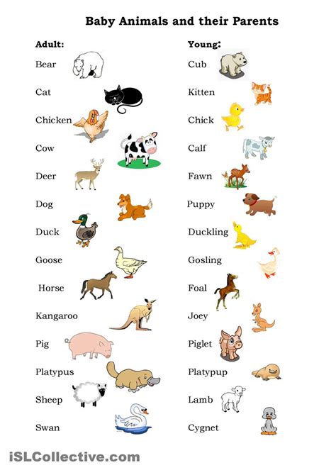 Names Of Animals Worksheet