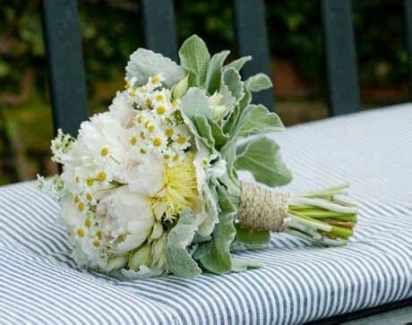 Great savings & free delivery / collection on many items. Lambs ear | Flower studio, Beautiful bouquet, Lambs ear ...
