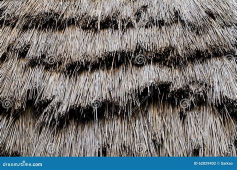 Straw Roof Detail Stock Photo Image Of Texture Cabin 62829402