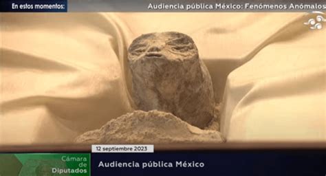 Mexico Congress Aliens ‘alien Bodies Displayed During Public Hearing
