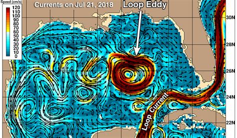 High Octane Hurricane Fuel In The Gulf Of Mexico 2 Loop Current Eddies