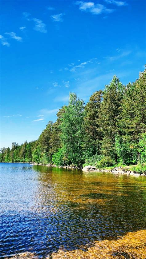 Download Wallpaper 938x1668 Forest Trees Coast Lake Landscape