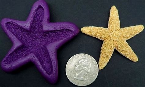 Starfish Or Sea Star Mold For 50 Mm Diameter Casting Flexible
