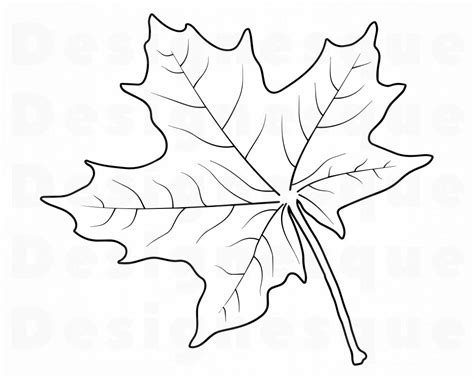 Maple Leaf Outline 3 Svg Maple Leaf Svg Autumn Maple Leaf Etsy