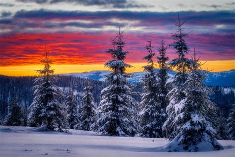 Winter Sunset Sunrise Scene In The Mountains Stock Photo Image Of