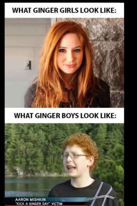 30 Ginger Memes That Are Way Too Witty