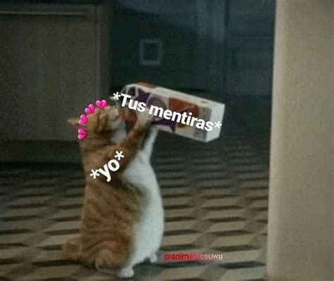 Pin De 𝕬𝖑𝖜𝖆𝖞𝖘 En Michis Memes Lindos Memes Románticos Memes Divertidos