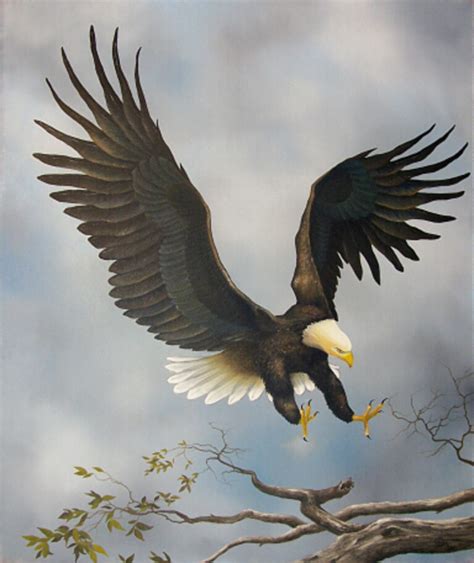 American Bald Eagle Oil Painting By Jerry Sauls