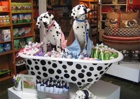 Five Display Tips for Pet Store Retailers - | Pet store ...