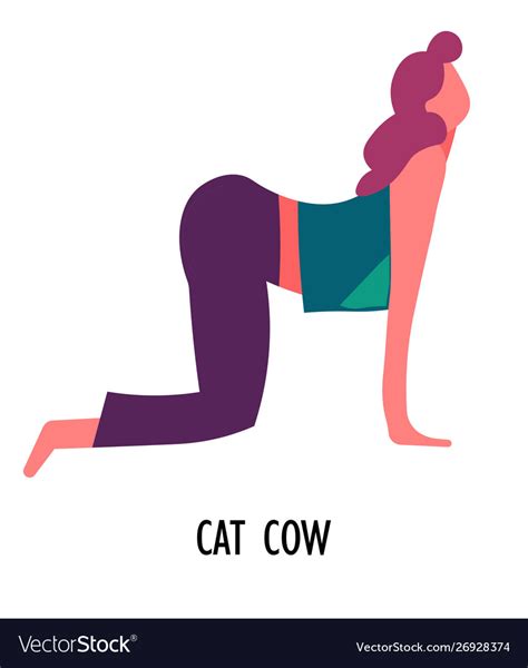 Cat Cow Yoga Asana Sport And Fitness Girl Vector Image