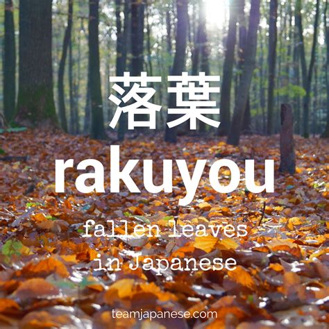 20 Beautiful Japanese Seasonal Words For Autumn Japanese Words Learn