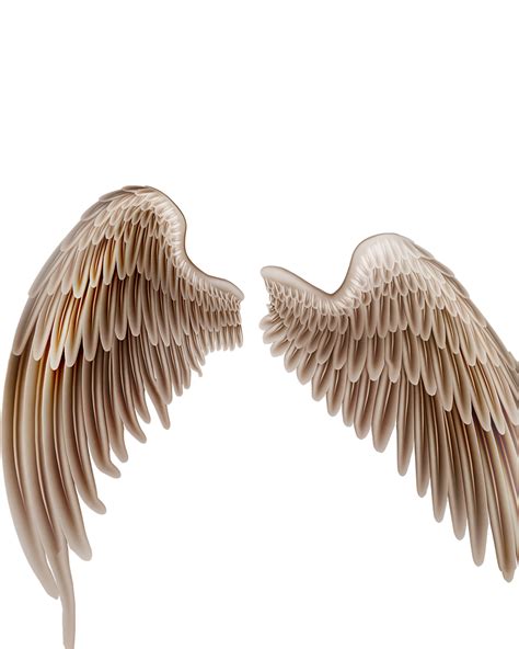 Wings manipulation photo editing PNGs and Background download | Photo editing, Photo editing ...