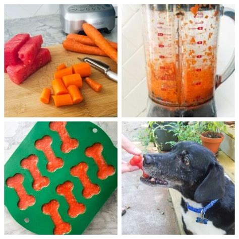 13 Diy Dog Popsicle Recipes For The Summer
