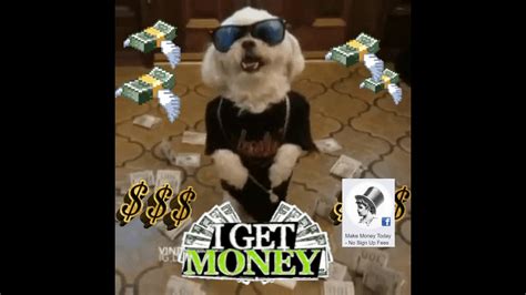The Money Dog Youtube