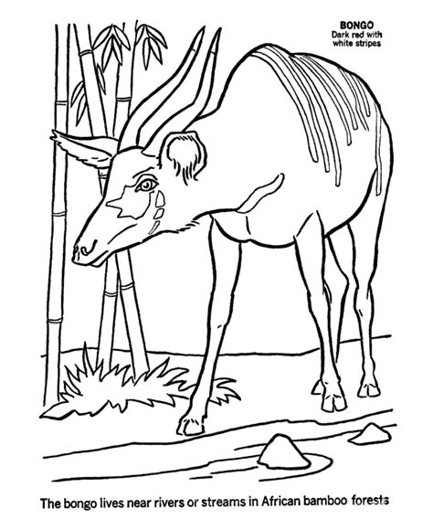 African Animals Coloring Pages Coloring Home