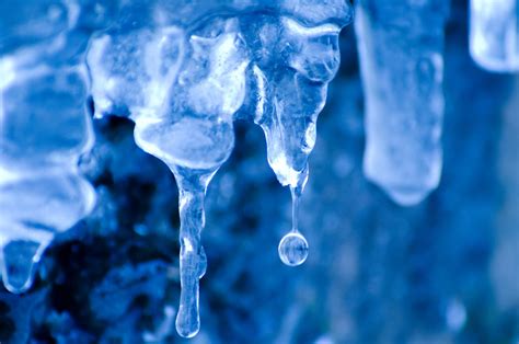 Images Gratuites Eau La Nature Du Froid Hiver Blanc Pétale Gel