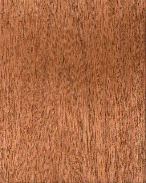 Mahogany wood connotes luxury and richness. Ambienta Architectural Solutions - Wood