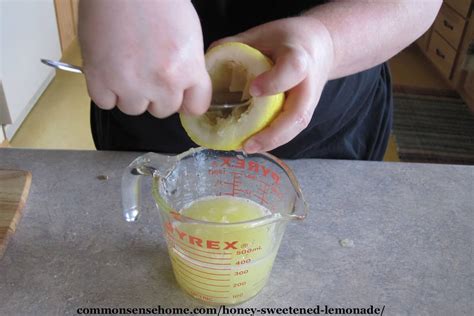 Honey Sweetened Lemonade With Tips For Using Lemony Herbs