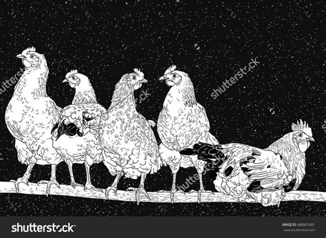 Chickens On Perch Flock Of Poultry Under Night Starry Sky Each Star