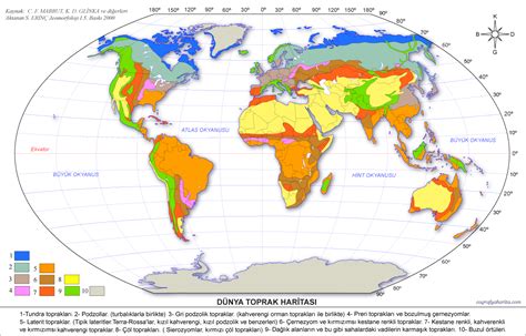 Dünya Dilsiz Haritası Toprak Tipleri WRHS
