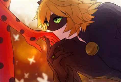 Miraculous Ladybug Images Ladybug And Chat Noir Hd Wallpaper And
