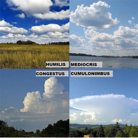 Types Of Cumulus Clouds