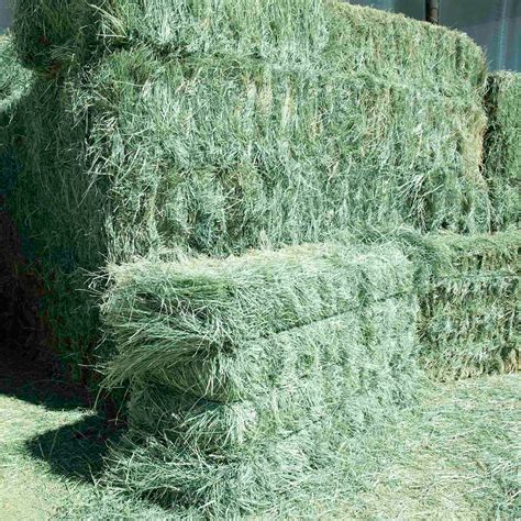 Premium Teff Grass Hay For Sale Conway Feed And Supply