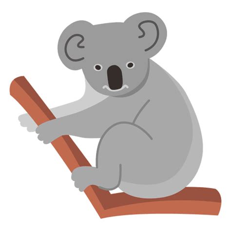 Koala Hd Png Images Transparent Background Png Play