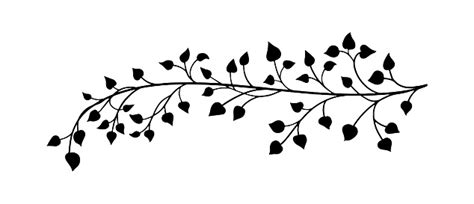 Decorative Ivy Vine Design Element Minimalistic Vector Of Leaves In