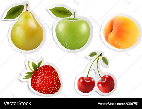Five Fruit Stickers Royalty Free Vector Image Vectorstock